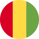 Franco della guinea (GNF)